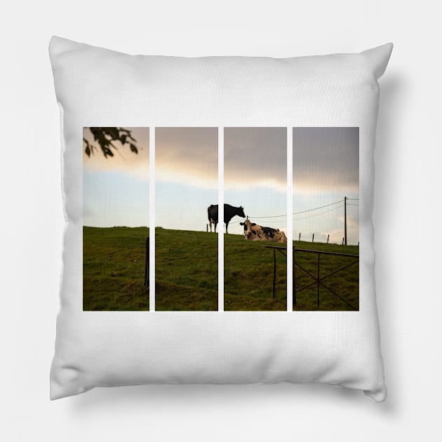 Two cows on the hill at sunset after a shower. Backlight. Pillow by fabbroni-art