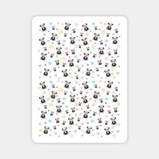 Panda Bears Magnet