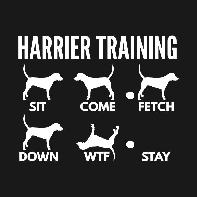 Harrier Training Harrier Tricks by DoggyStyles
