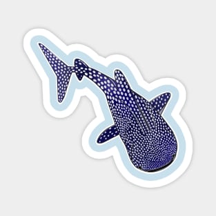 Whale Shark 2- Only Magnet