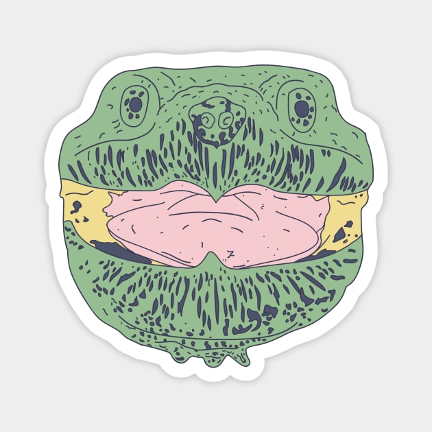 Snapping Turtles - Trippy Weird Turtle - Chelydridae Magnet by DeWinnes