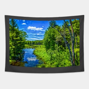 West Branch Ware River Tapestry