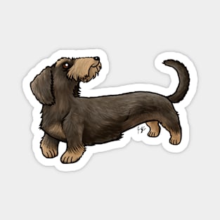 Dog - Wire-Haired Dachshund - Wild Boar Magnet