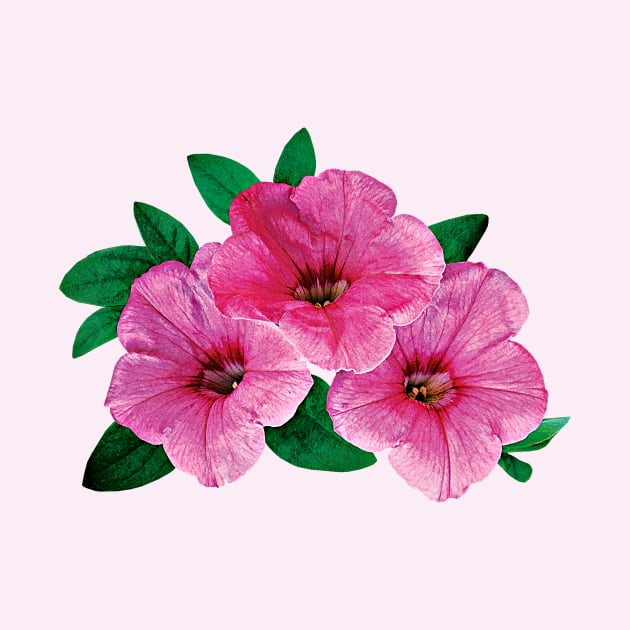 Petunias - Three Pink Petunias by SusanSavad