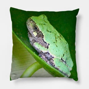 Tree Frog Love Pillow