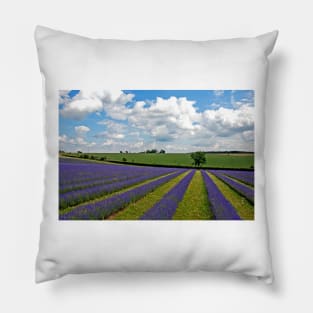 Lavender Field Purple Flowers Cotswolds England Pillow