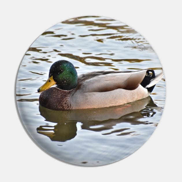 Father Duck Pin by A Thousand Words Photography