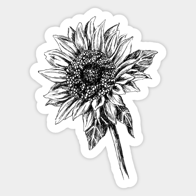 Sunflower Drawing Sunflower Sticker Teepublic That's actually it for the first step in our how to draw a sunflower tutorial. sunflower drawing