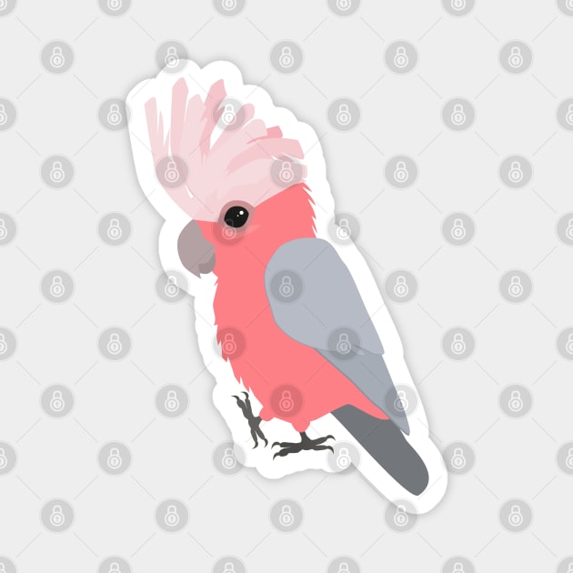 Galah cockatoo Magnet by Bwiselizzy