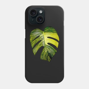 MONSTERA AUREA VARIEGATA Phone Case