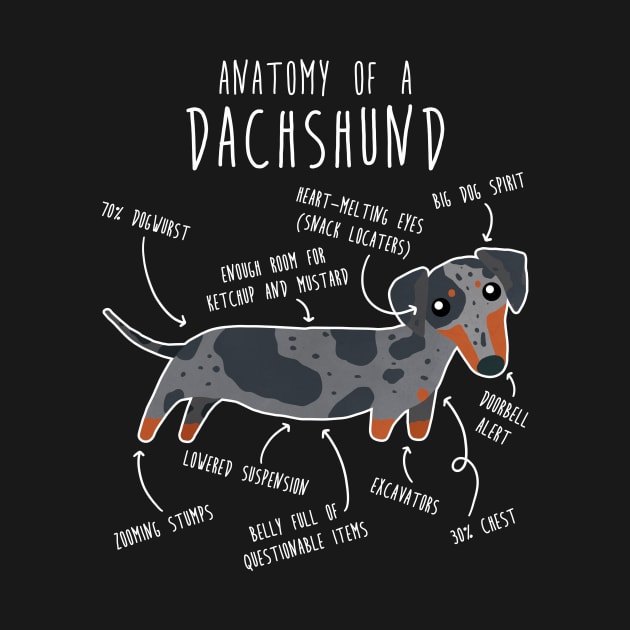 Blue Dapple Dachshund Dog Anatomy by Psitta
