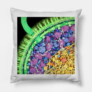 Escherichia coli, artwork (B230/0244) Pillow