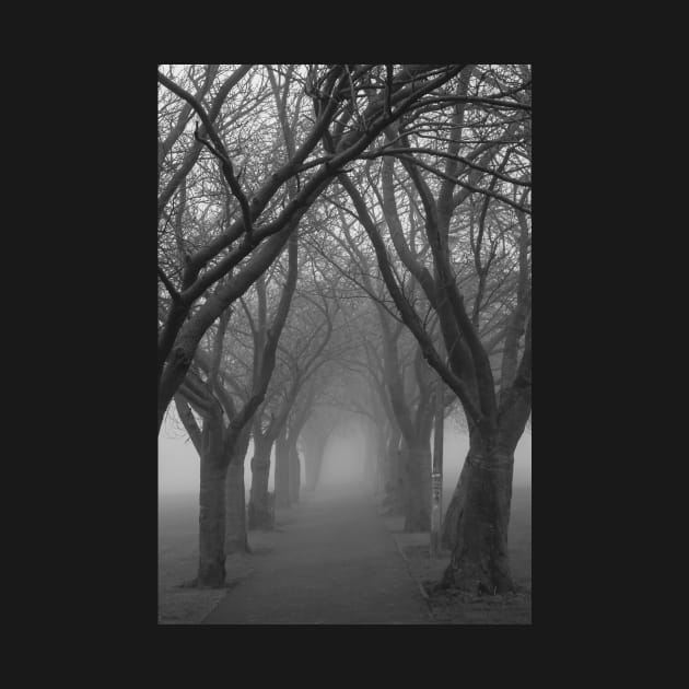 Foggy Path by Errne