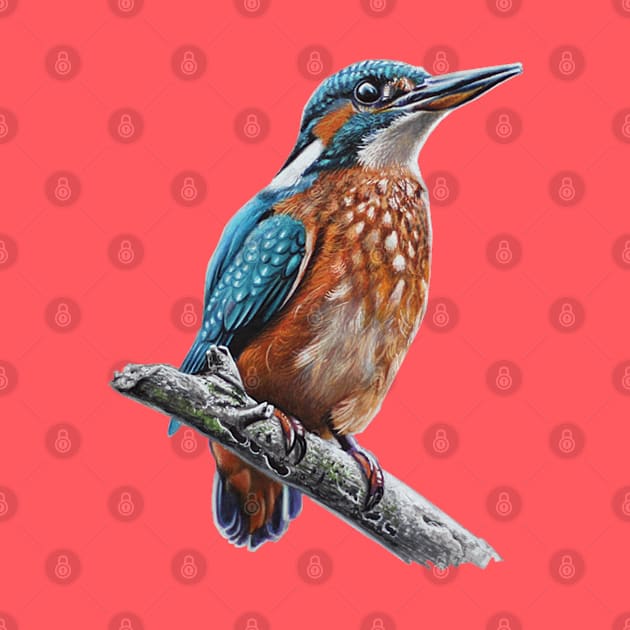 King Fisher Drawing by cristianvan