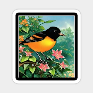 Cuteness of Baltimore Orioles The Orange Oriole Bird with Vintage Orchard Oriole Bird Magnet