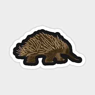 Echidna Magnet