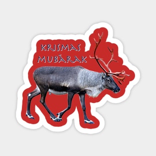 Krismas Mubārak Magnet