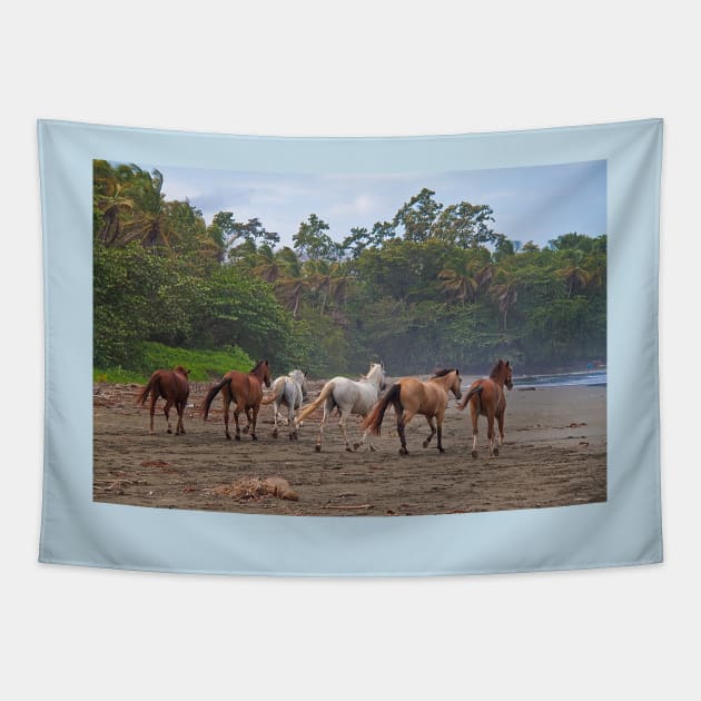 Costa Rica. Town of Cahuita. Horses on the Beach. Tapestry by vadim19