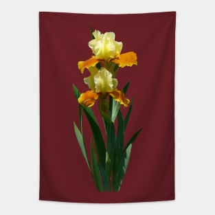 Irises - Iris Honey Glazed Tapestry