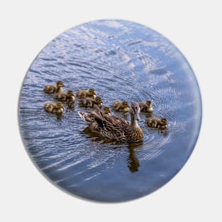 Mother Duck and Ducklings Pin