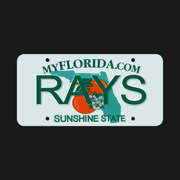 Rays Florida License Plate by Mel's Designs