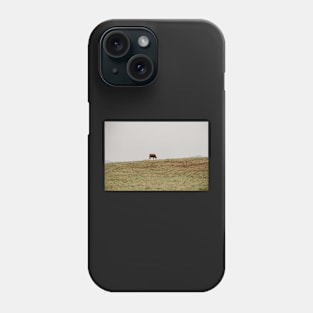 cows grazing a field Phone Case