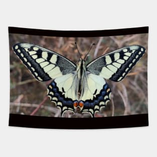 Butterfly Tapestry