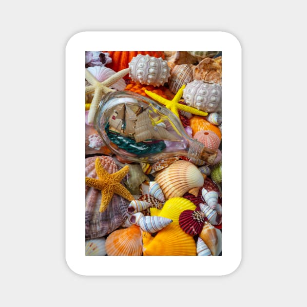 Ship In A Bottle Resting On Seashells Magnet by photogarry