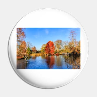 Winter Lake Scene Pin