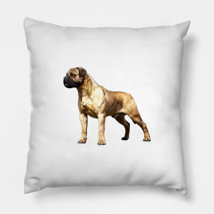 Bullmastiff Pillow