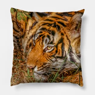 Wild Bengal Tiger Pillow