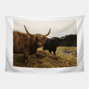 Scottish Highland Cattle Cow and Bull 2169 Tapestry