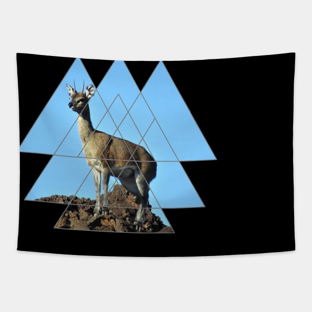 Klipspringer - Antelope in Kenya / Africa Tapestry by T-SHIRTS UND MEHR