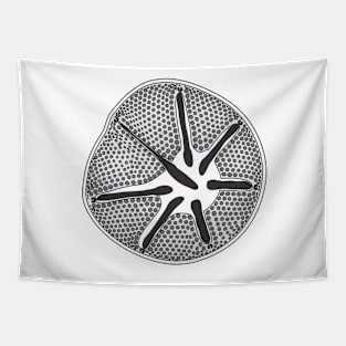 Diatom - Asteromphalus - Artwork Tapestry