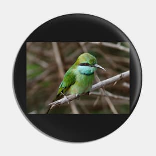 Asian Green Bee-Eater Bird Pin
