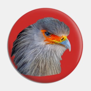 Majestic head of a Secretary Bird Pin