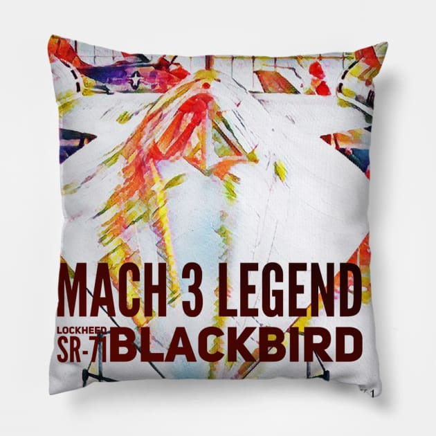 M-21 / SR-71 Blackbird artified Pillow by acefox1