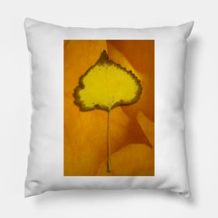 Golden Oldie Pillow