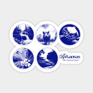 Scenes of Arkansas Magnet