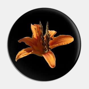Beautiful photograph of a butterfly on an orange lily flower Pin