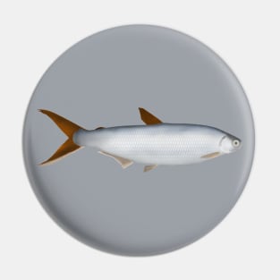 Silversides Pin