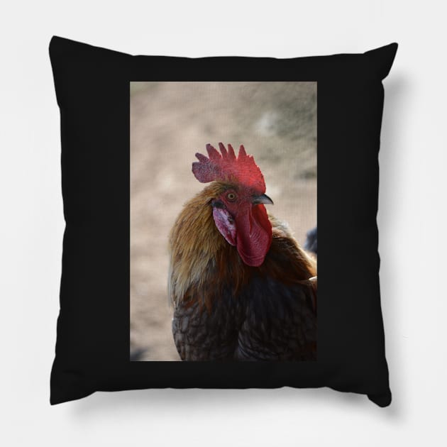 Rooster Pillow by Whisperingpeaks