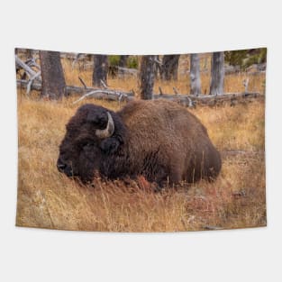 Wild Buffalo (Bison) Sitting in a Field Tapestry