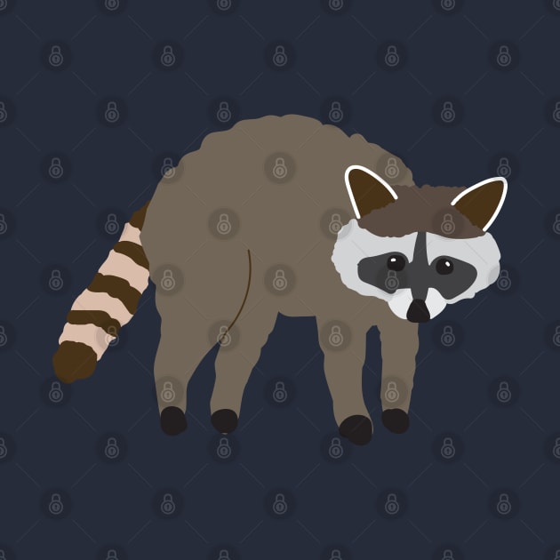 Cute raccoon by Jennifer Ladd