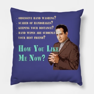 Funny Andrian Monk_quarantine gift. Pillow