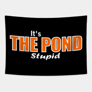 For the Anaheim Ducks, it will always be The Pond Tapestry