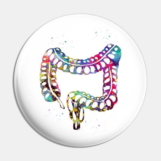 Lower gastrointestinal tract Pin by erzebeth