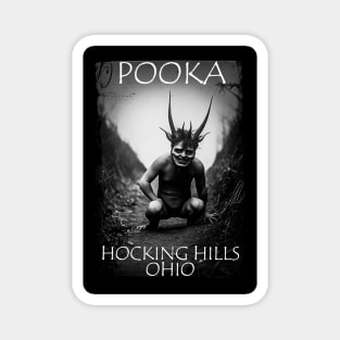 Pooka Hocking Hills Magnet