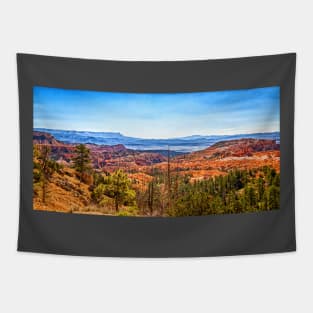 Bryce Canyon National Park Tapestry