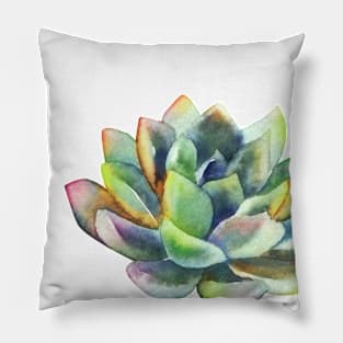 Watercolor, succulent, hand painted, cactus Pillow